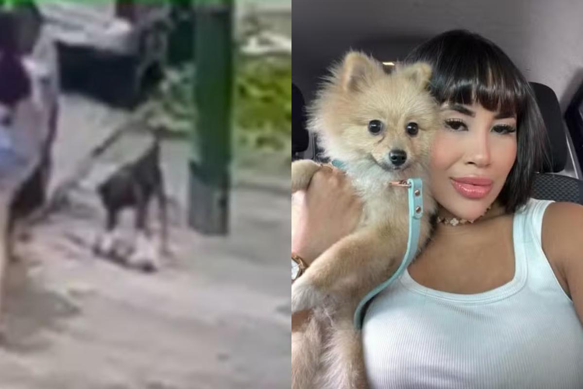 O animal possuía menos de 1 ano de vida